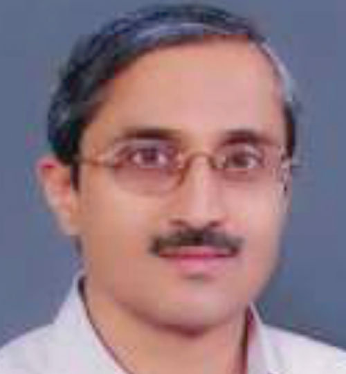 ANAND L POTNIS